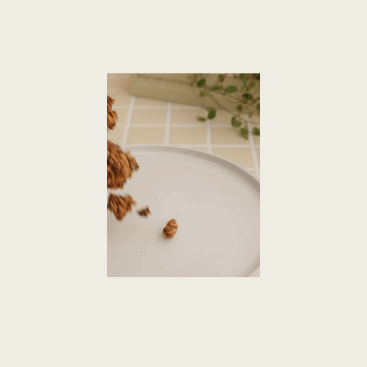 GIF분리 720PX.gif